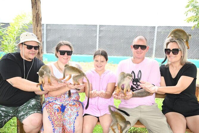 Half Day Puerto Plata City Tour and Monkey Home Visit - Getting There Smoothly: Pickup, Van Comfort, and What to Bring