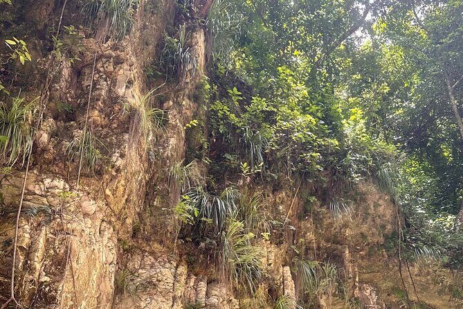 Hiking the 27 Waterfalls of Damajagua Tour from Santo Domingo - The 6:00am start: why this tour works as a full-day adventure