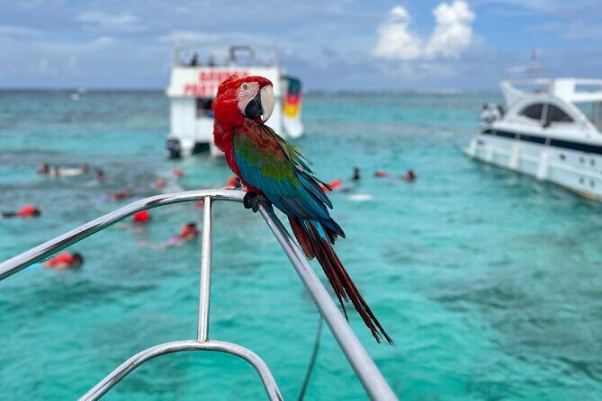 Hip Hop Party Boat with Snorkeling Punta Cana - FAQ