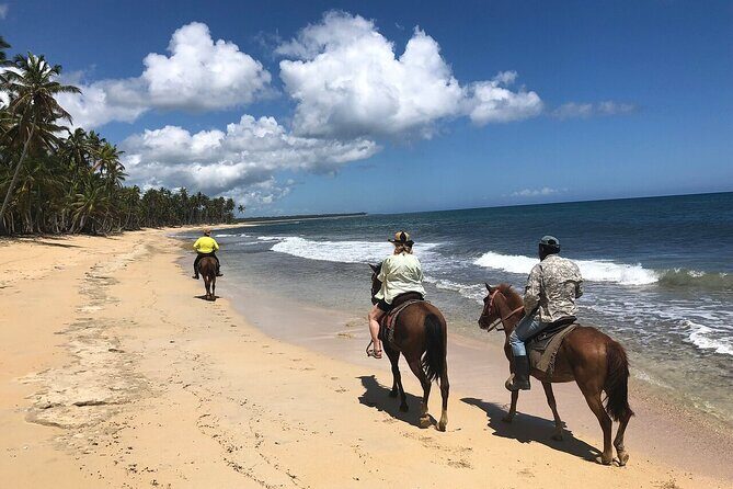 Horseback Riding Adventure to Macao Alto Beaches in Punta Cana - Punta Cana by Horse: What This 5-Hour Ride Feels Like