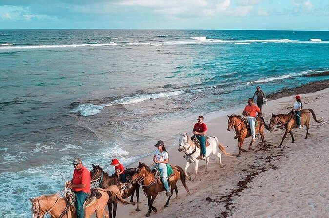 Horseback Riding Adventure to Macao Alto Beaches in Punta Cana - Through Villages and Farmlands: The Cultural Part You Don’t Want to Skip