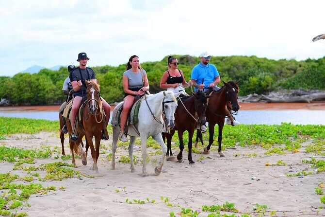 Horseback riding in punta cana beach and Bayahibe - Getting There from Your Hotel: Pickup, Timing, and Meeting Point Reality