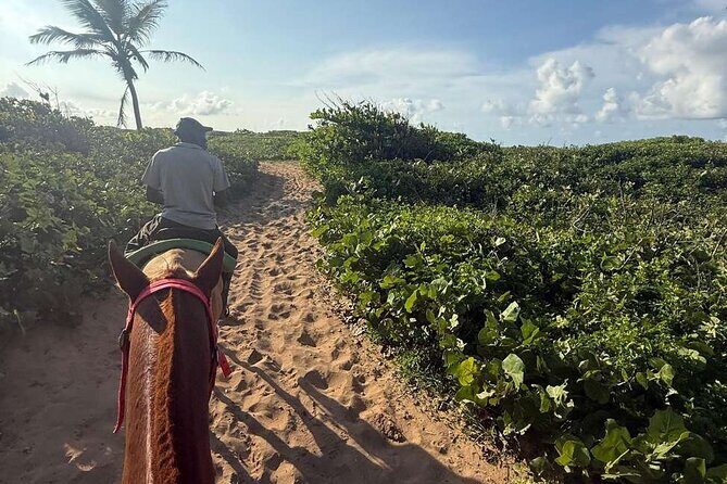 Horseback riding in punta cana beach and Bayahibe - Shared Transport, Missed Starts, and Weather: The Real-World Considerations
