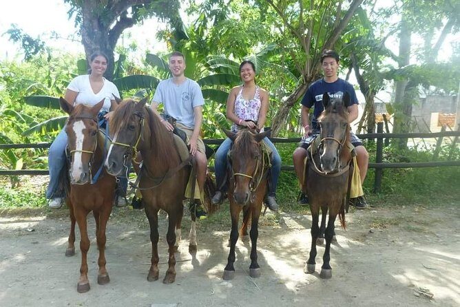 Horseback riding tours from amber cove & Taino bay port silver - Your 3-hour flow: fields, a beach swim, and plantation stops