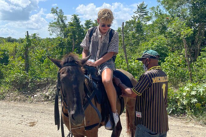 Horseback riding tours from amber cove & Taino bay port silver - Horses and safety: what to trust, what to watch