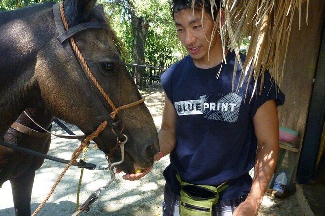 Horseback riding tours from amber cove & Taino bay port silver - What to bring for comfort (and to enjoy the beach part)