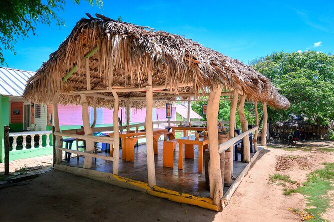 Immerse in Dominican Culture: Private Community Tour - Typical rural home visit: where coffee starts to make sense