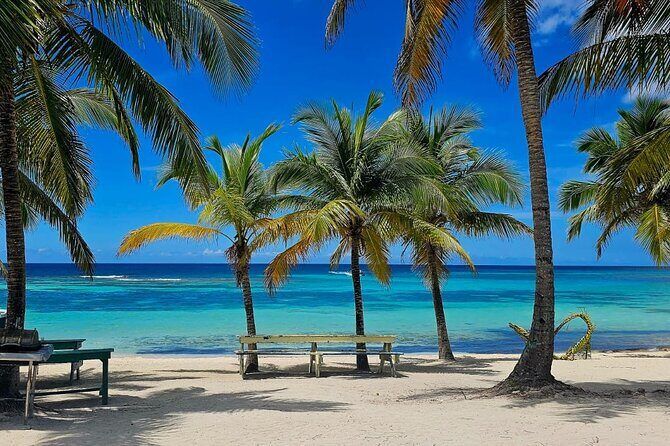 Island DE Saona: EN Small Group Tour on Trimaran Motorise - The Trimaran Advantage for a Saona Island Day