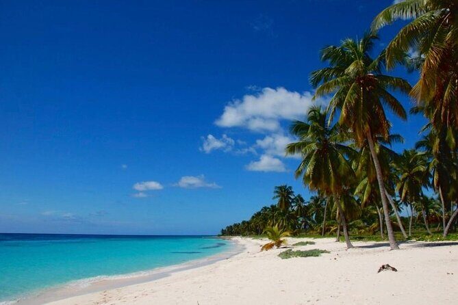 Island DE Saona: EN Small Group Tour on Trimaran Motorise - Stop 2: Mano Juan Fishing Village and Turtle Nursery (2.5 Hours)