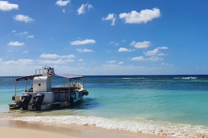 Island DE Saona: EN Small Group Tour on Trimaran Motorise - Stop 3: Isla Saona Jump to Canto de la Playa (About 15 Minutes)