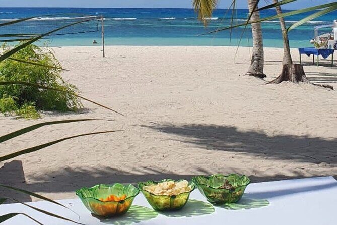 Island DE Saona: EN Small Group Tour on Trimaran Motorise - Stop 4: Canto de la Playa Beach Time, Snorkeling, and Drinks (2 Hours)