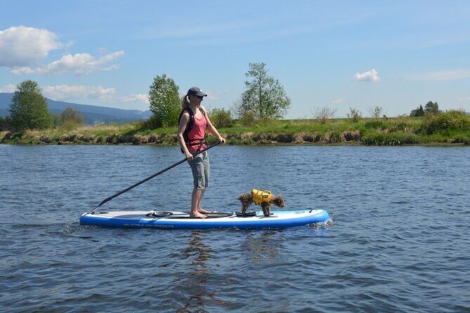 Kayak or Paddleboard Rentals Sosua , Cosita Rica, Neptuno Beach - Timing, delivery, and getting set up without stress