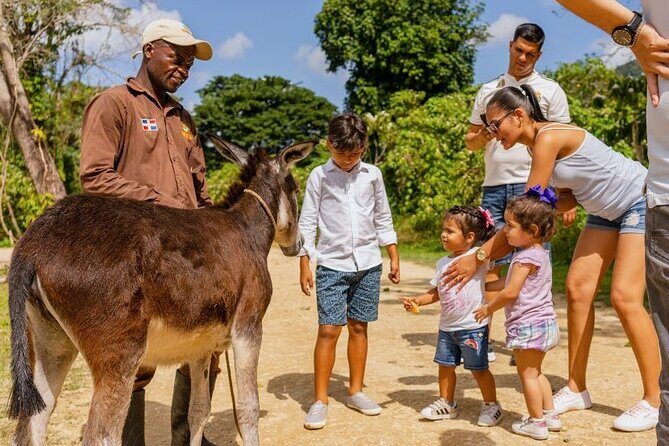La Hacienda Park: Punta Cana's number one adventure park - The zip line over the jungle: speed, height, and why it’s the main event