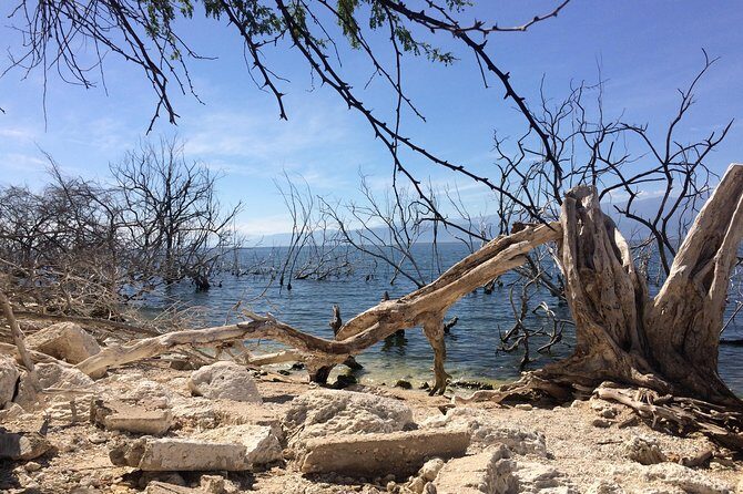 Lake Enriquillo - Getting there with pickup, an early start, and a tight schedule