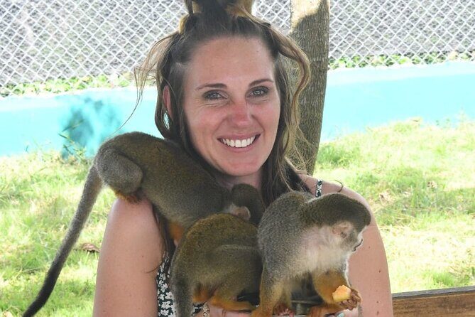 land of monkeys and silver port city tour - Monkey Home Puerto Plata: up-close with squirrel monkeys (and a quick photo plan)