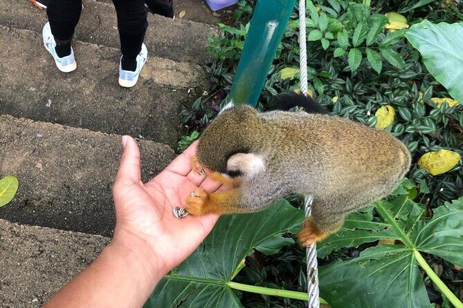 land of monkeys and silver port city tour - Mercado Municipal de Puerto Plata: where the flavors feel real