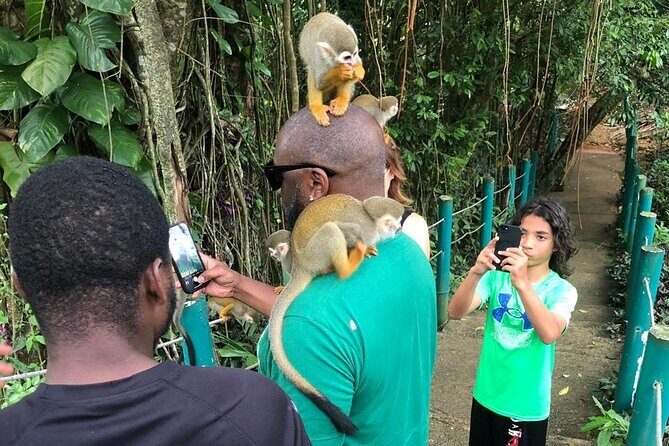 land of monkeys and silver port city tour - Price and logistics: does $120 make sense for a 3 to 4-hour day?