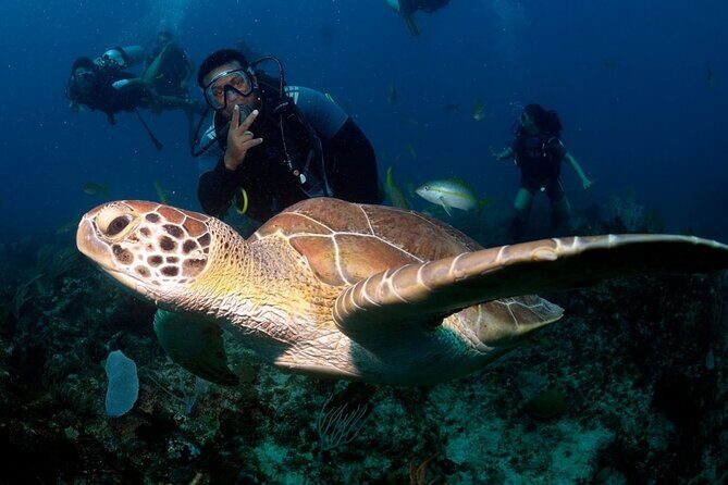 Learn to Scuba Dive in Punta Cana - Key Highlights to Expect