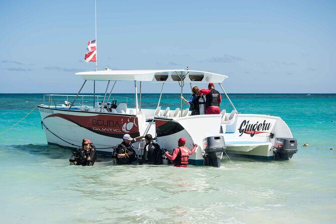 Local diving Bávaro -Double tank - Key Things To Know Before You Go (Double Tank, Two Stops)