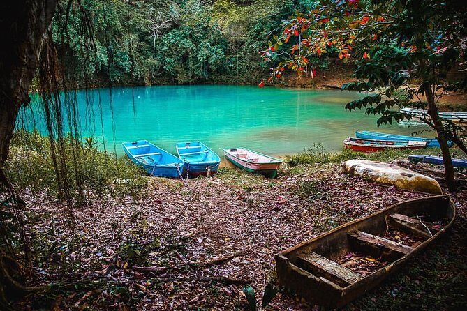Los Haitises & Cayo Levantado (Lunch included, from Samana in Catamaran or Boat) - Los Haitises caves first, beach after