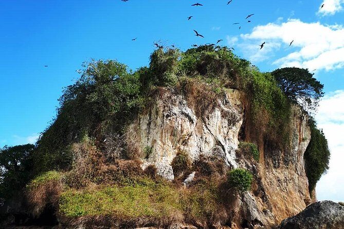 Los Haitises & Cayo Levantado (Lunch included, from Samana in Catamaran or Boat) - Duration and timing: how the day tends to flow