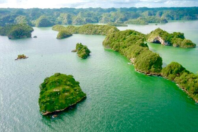 Los Haitises National Park and Cayo Levantado Island Day Trip from Samana - Stop 2: Los Haitises National Park—caves, pictographs, and bird country