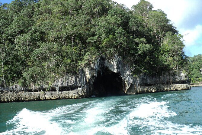 Los Haitises National Park and Cayo Levantado Island Day Trip from Samana - Who should book this day trip—and who might want something else