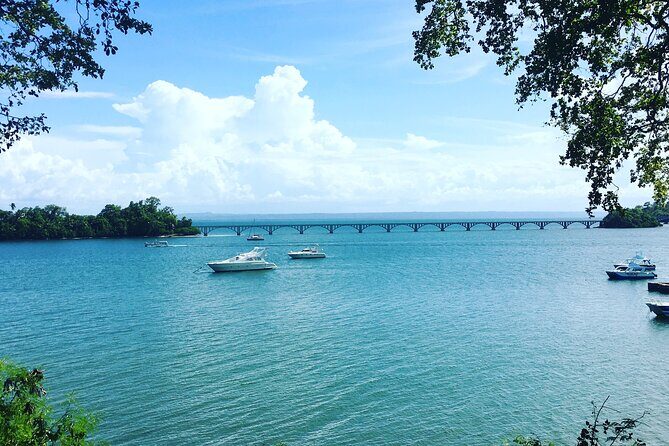 Los Haitises Park & Cayo Levantado: Samaná unforgettable Journey - Three hours on Cayo Levantado: swimming, sun, and a proper lunch