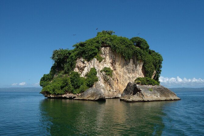 Los Haitises Park & Cayo Levantado: Samaná unforgettable Journey - Price and value: is $178.95 a good deal?