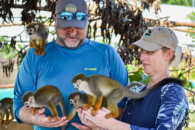 Monkey Encounter and Zip Line Tour from Amber Cove and Taino Bay - Money notes: what your $124.99 likely covers (and what it doesn’t)