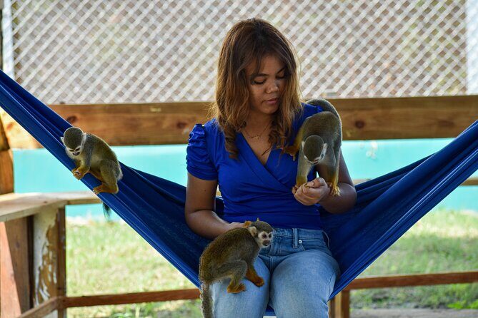 Monkey Encounter and Zip Line Tour from Amber Cove and Taino Bay - Who should book this tour (and who might want a different option)