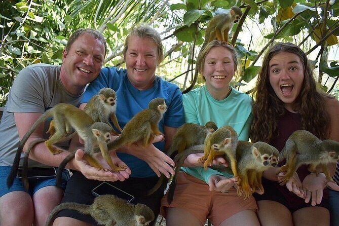 Monkey Mania Puerto Plata - The 2 to 3 hour timing that fits real vacation days