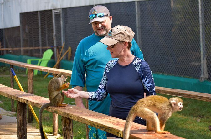 Monkey Mania Puerto Plata - Guides make the day: the Tamares and Wady effect