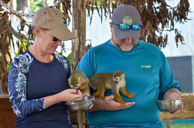 Monkey Mania Puerto Plata - Comfort, safety, and animal-encounter reality