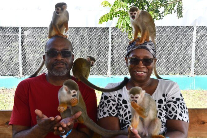 Monkey Tour Interaction and Damajagua waterfalls in Puerto Plata. - Damajagua Waterfalls: Pools, Slides, Jumps, and the Real Climb
