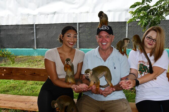 Monkey Tour Interaction and Damajagua waterfalls in Puerto Plata. - Photo Packages and Puerto Plata Time: Capture It, Then Breathe