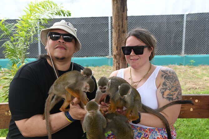 Monkey Tour Interaction and Damajagua waterfalls in Puerto Plata. - Who Should Book This Tour (and Who Should Think Twice)