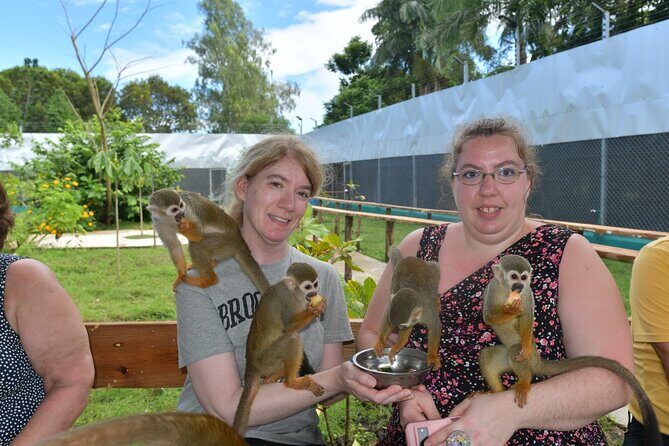 Monkey Tour Interaction and Damajagua waterfalls in Puerto Plata. - Getting Picked Up in Puerto Plata: Hotels and Cruise Ports