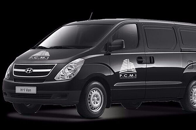 One Way Private Airport or Hotel Transfer Bavaro Hotel 1-6 Pax - Who This Transfer Is Best For (And Who Might Skip It)