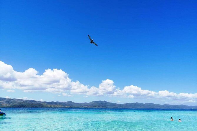 Paradise Island & Mangroves Tour - Pickup Around Cabarete and Sosúa: Easy Start, Then Road Time