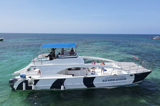 Party Boat - Private groups, snorkeling - Open Bar. - Snorkeling the Coral Reef: What the Timing Suggests