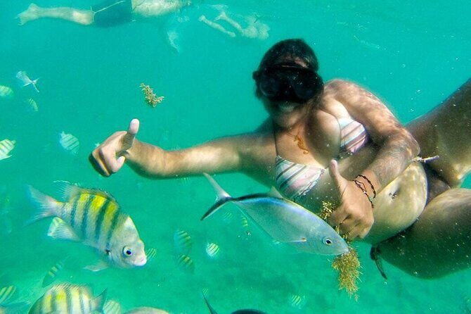 Party Boat - Private groups, snorkeling - Open Bar. - Natural Pool or Sandbar Time: The Part That Feels Like a Bonus