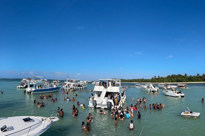 Party Boat Punta Cana Public or Private and Open Bar - Stop 3: Snorkeling With Professional Gear and Coral-Focused Fun