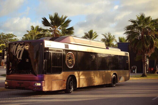 Party Bus Rental - Key Things to Know Before You Board