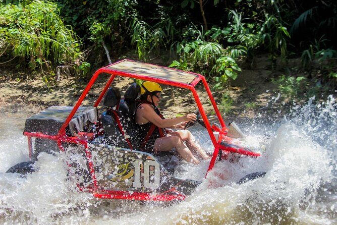 Pop Buggy Excursion from Amber Cove and Taino Bay Puerto Plata - Key Things to Know Before You Hit the Roads