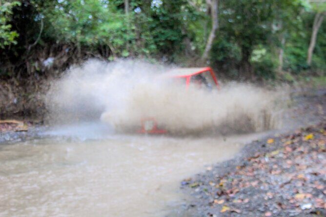 Pop Buggy Excursion from Amber Cove and Taino Bay Puerto Plata - Natural Cave Visit: Nature Time Without Needing Special Skills