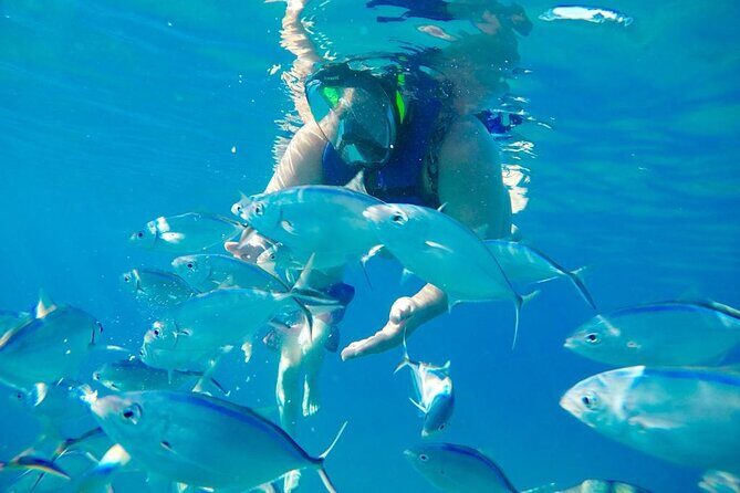 Private all-inclusive snorkeling at sosua beach. - Timing, weather reality, and what to bring