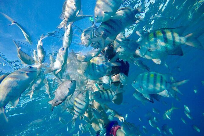Private all-inclusive snorkeling at sosua beach. - Should you book? My take on Ismael Transfer Tours