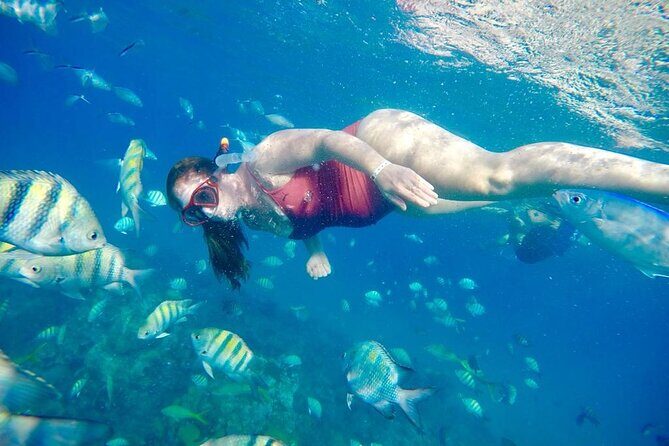Private all-inclusive snorkeling at sosua beach. - FAQ