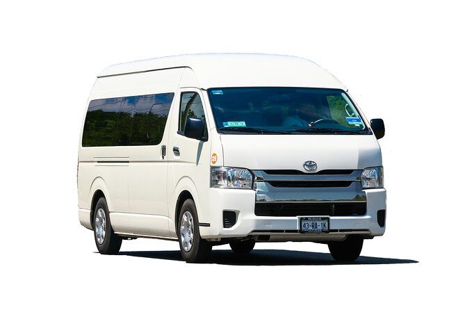 Private Arrival Transfer: Puerto Plata International Airport to Hotels (1 - 6) - Pickup at the Airport: What Happens When You Land